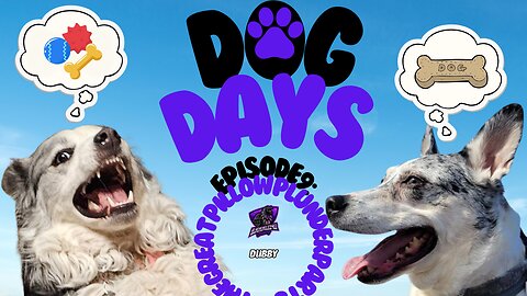 Dog Days Episode 9: The Great Pillow Plunder Part 3 [Australian Shepherd Blue Heeler Husky Mix]