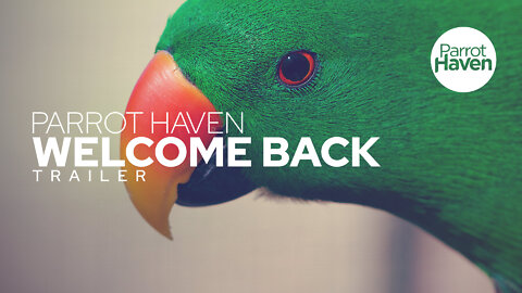 Parrot Haven Welcome Back Trailer