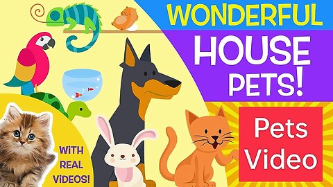 Latest KIDS videos || House Pets || videos for babies, toddlers, kids Videos