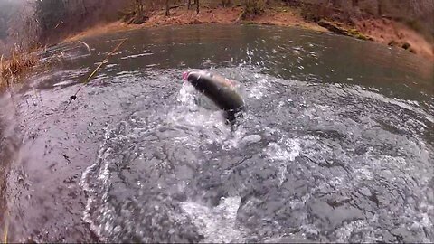 Steelhead DOUBLE! Oregon Coast Steelhead Fishing