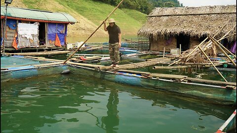 Making Fish Cages, Fishing and Selling to Traders, River Survival