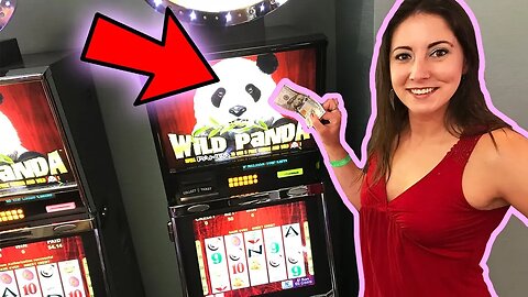 $100 Wild Panda Slot Play with Melissa! 🌸Slot Ladies