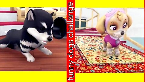 Rich dog vs poor dog challange funny video