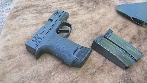 Wilson Combat WCP365 SIG