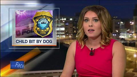 Green Bay Police asking for information after dog bite