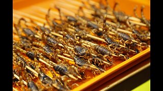 Should Christians Eat Insects?