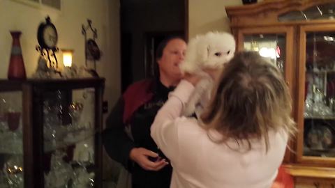 Woman Gets A Puppy As A Surprise Gift