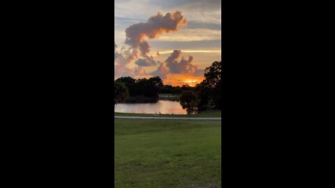 Sunset At Estero Community Park ￼#Sunset