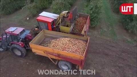 How Apple Juice Is Made In Factory