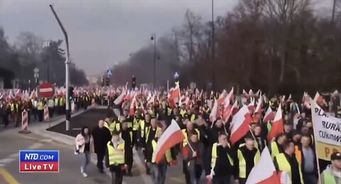 POLISH FARMERS PROTEST🇵🇱👨‍🌾🫸🏻⛔️AGAINST CHEAP UKRAINIAN FOOD IMPORT TO POLAND🇺🇦🥩🥕🥚🥬🍎💫