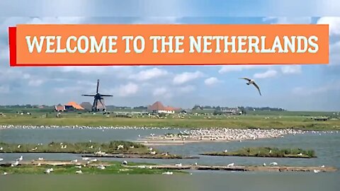 Janet Ossebaard - WELCOME TO THE NETHERLANDS - From a Democracy to a Police State