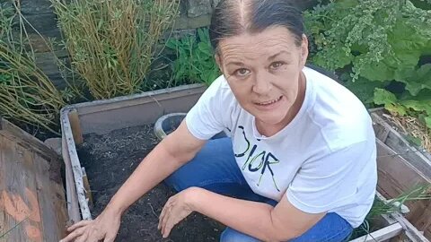 Mending The Raised Beds In The Garden 🔨🙏#ukprepping #prepping #frugal #garden #blessed #community