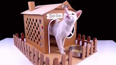 How to make Amazing Kitten Cat Pet House from Cardboard