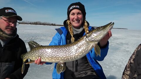 The BEST way to catch GIANT Pike through the Ice