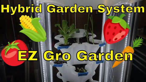 My Latest Hobby! Growing Stuff! EZ Gro Garden System