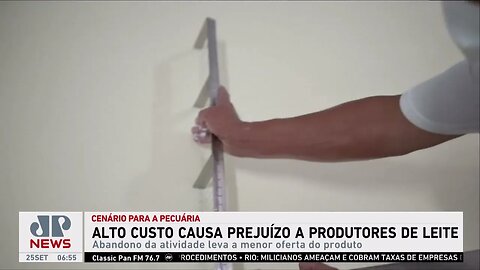 Alto custo na criação de vacas causa prejuízo para produtores de leite