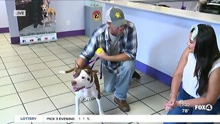 Fox 4 features our pet of the week