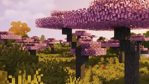 MINECRAFT/ Beautiful cherry blossoms come from shaders😍🥰