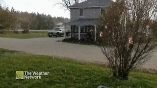 Relentless hailstorm pelts the front yard