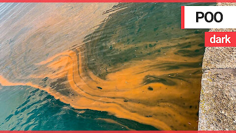 Historic harbour and beach left in a sea of orange caused by overflowing sewage