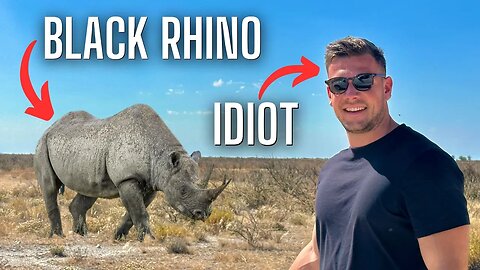 Looking for a RHINO on a ONE DAY SAFARI? | Etosha National Park 🇳🇦