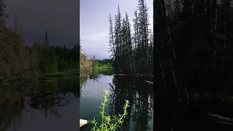 Fish Creek Provincial Park, Alberta