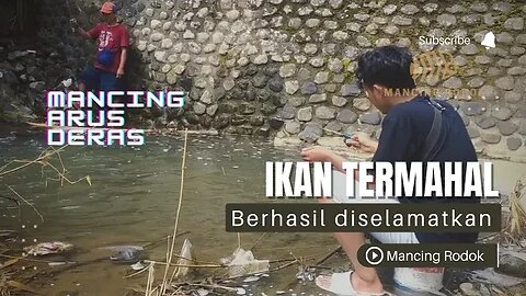 MANCING IKAN TERMAHAL di sungai arus deras penuh tantangan - Mancing Rodok