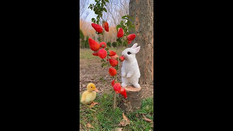 rabbit, cat very cute pet dog