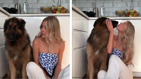 To Kiss or Not To Kiss: Should You Let Your Dog Kiss Your Face?🐕🐶💎