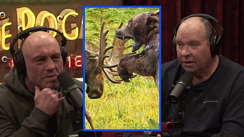 Wildlife Discoveries | Joe Rogan Experience w/ John Reeves