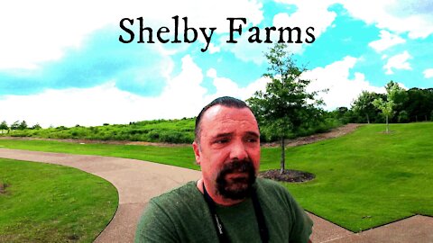 Shelby Farms Tennessee