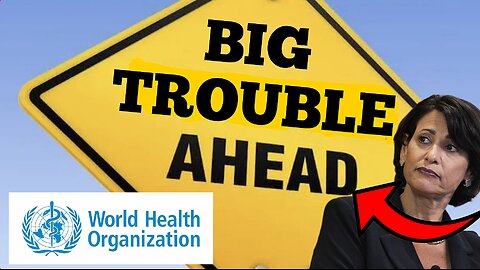 'World Health Organization' "BIG TROUBLE AHEAD" The 'W.H.O' Fraud & International Law Violations