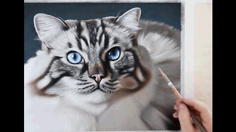 PHOTO-REALISTIC CAT DRAWING | Color Pastel Pencil Animal Art