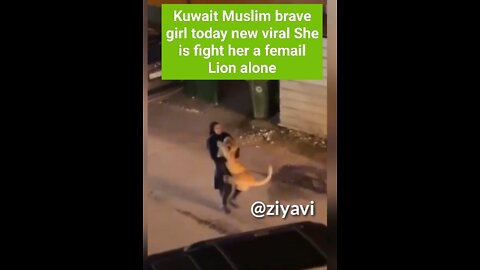 Kuwait Muslim brave girl today new viral She is fight her a femail Lion alone