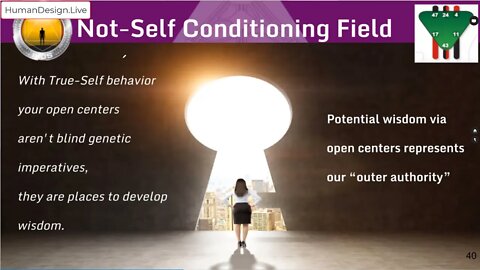 Rave Cartography Lecture Excerpt - Shadow State Conditioning Field Part 1