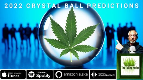 Crystal Ball 2022 Predictions