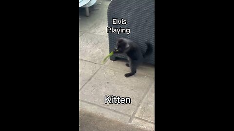 Elvis playing