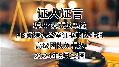 2024年5月24日郭文贵先生庭审第1位证人Erin McNamara，FBI新港办公室证据响应小组高级负责人｜全部证词｜AI音频笔录中文朗读 #证人证言 #MILESTRIAL #TakeDowntheCCP #新中国联邦 #灭共者 #郭文贵