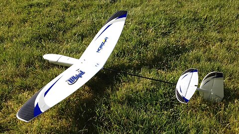 Maiden Flight Only - E-flite UMX Whipit DLG RC Glider BNF Basic