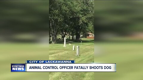 Dog shot and killed by Lackawanna animal control officer