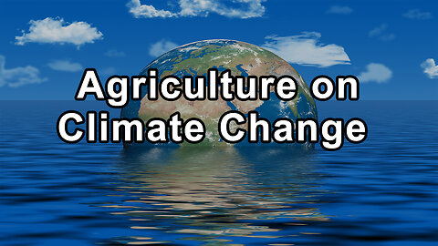 The Hidden Impact of Animal Agriculture on Climate Change