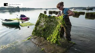 Women business owners support each other during the pandemic