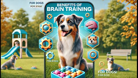 The Benefits Of Brain Training For Dogs