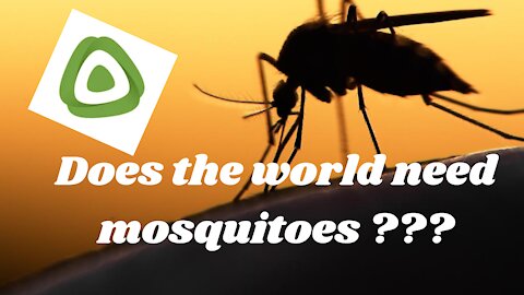 Does the world need mosquitoes ???