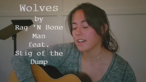 RAG 'N BONE MAN feat. STIG OF THE DUMP | Wolves (Acoustic Guitar Cover)