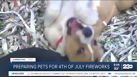 Nick Cullen interview: Preparing pets for 4th of July fireworks