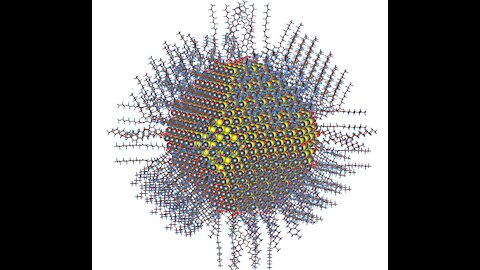 NANOCHIPS AND HUMANS - GOING DEEPER