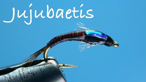 Jujubaetis Fly Tying Instructions - Tied by Charlie Craven