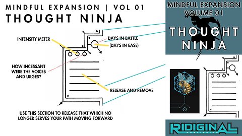 Thought Ninja | Mindful Expansion | Volume 01