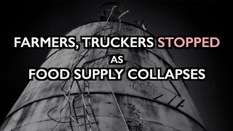 Farmers, Truckers STOPPED as Mainstream Food Supply Collapses